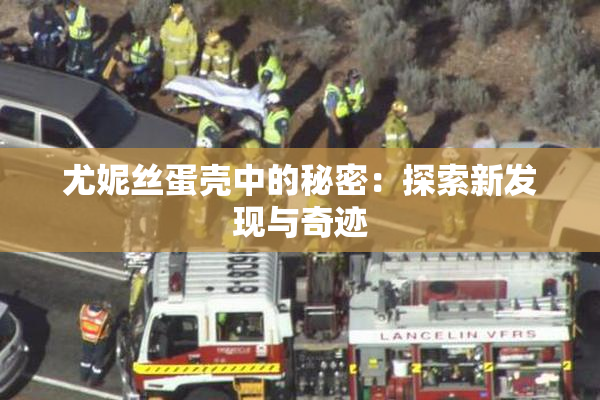 尤妮丝蛋壳中的秘密：探索新发现与奇迹