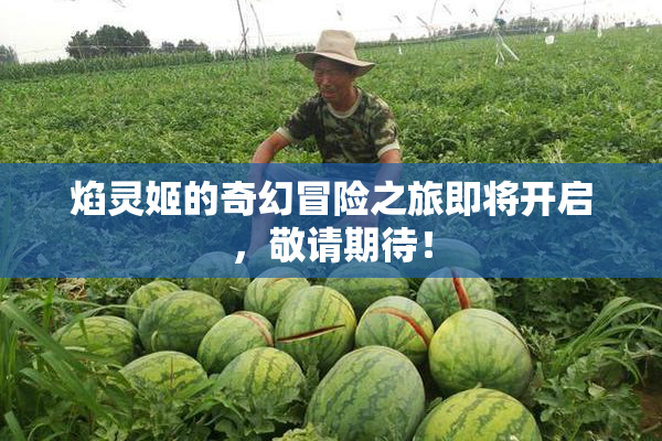 焰灵姬的奇幻冒险之旅即将开启，敬请期待！
