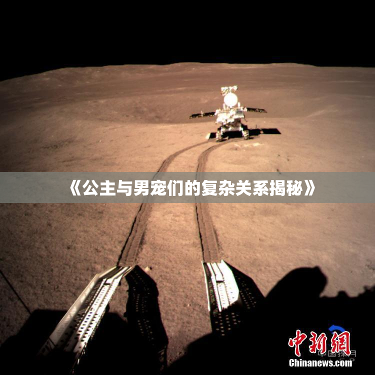 《公主与男宠们的复杂关系揭秘》