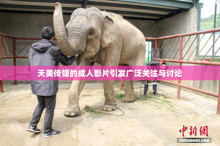 天美传媒的成人影片引发广泛关注与讨论