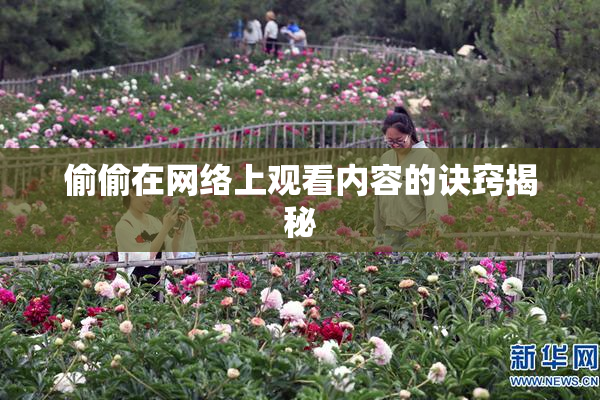 偷偷在网络上观看内容的诀窍揭秘