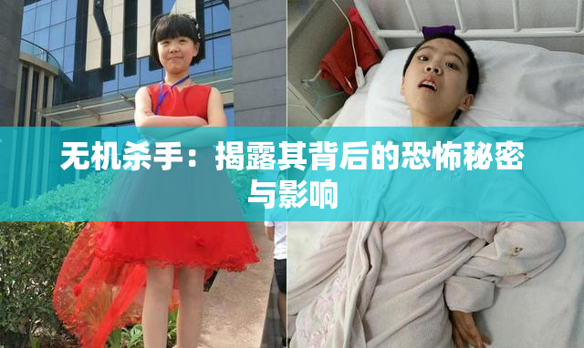 无机杀手：揭露其背后的恐怖秘密与影响
