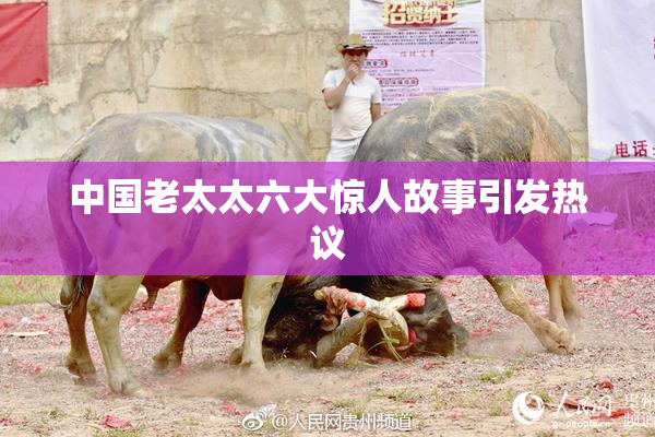 中国老太太六大惊人故事引发热议