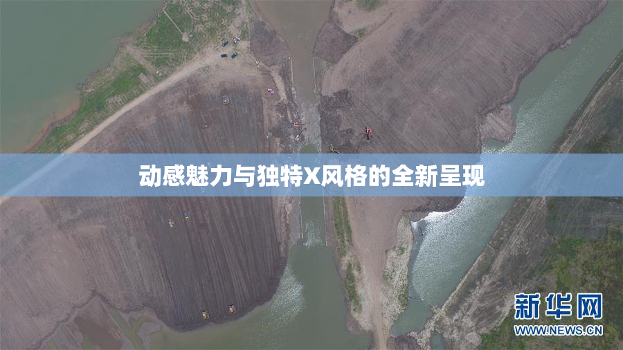 动感魅力与独特X风格的全新呈现