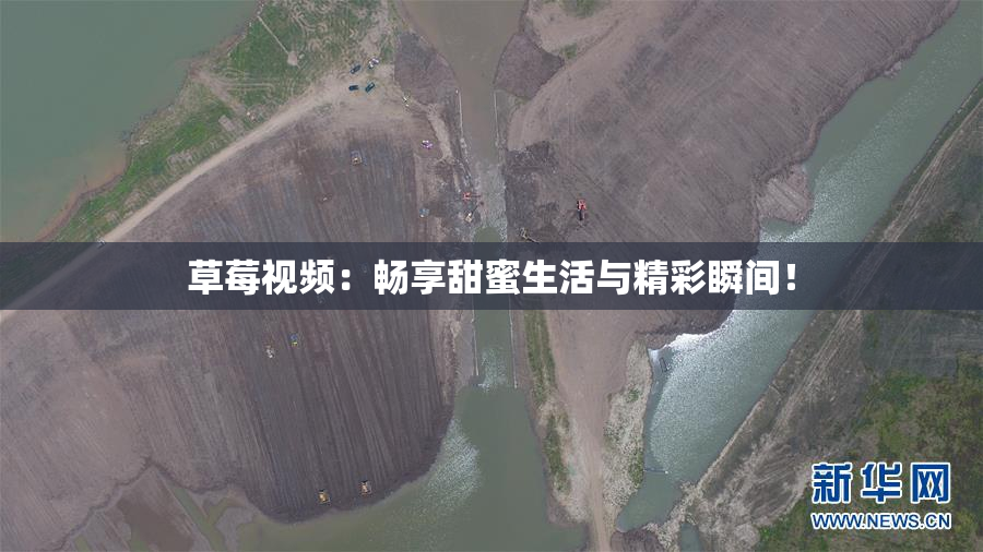 草莓视频：畅享甜蜜生活与精彩瞬间！