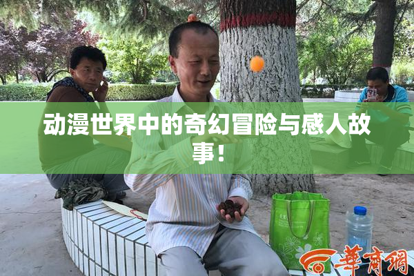 动漫世界中的奇幻冒险与感人故事！