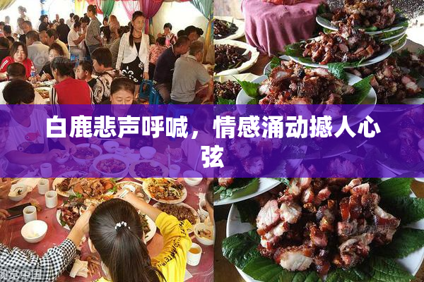白鹿悲声呼喊，情感涌动撼人心弦