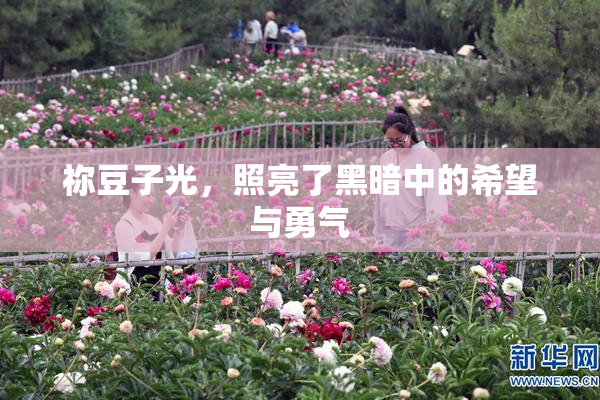 祢豆子光，照亮了黑暗中的希望与勇气