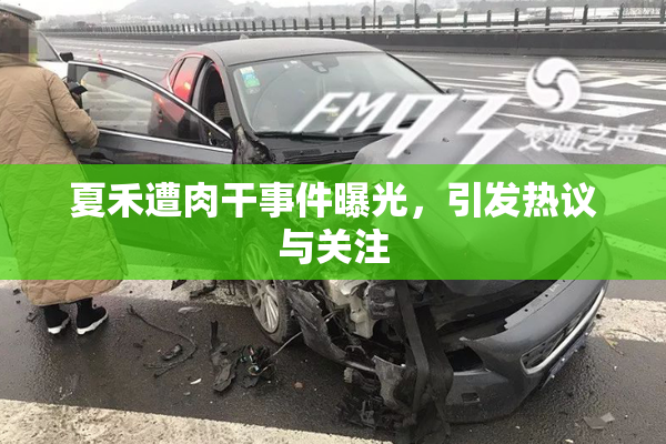 夏禾遭肉干事件曝光，引发热议与关注