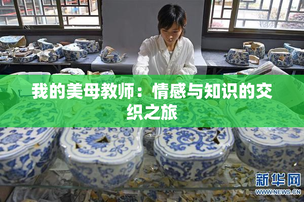 我的美母教师：情感与知识的交织之旅