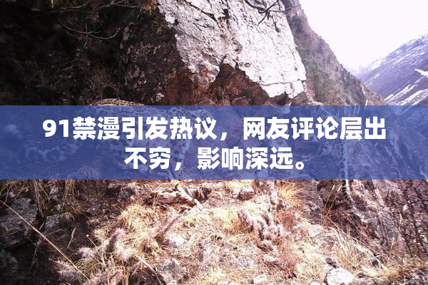 91禁漫引发热议，网友评论层出不穷，影响深远。