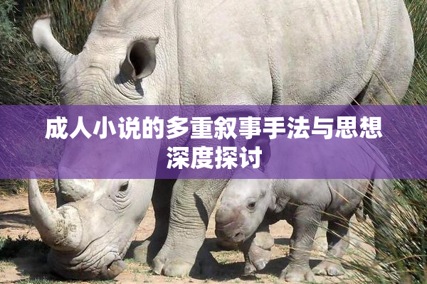 成人小说的多重叙事手法与思想深度探讨