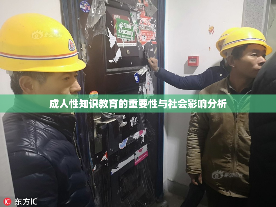 成人性知识教育的重要性与社会影响分析