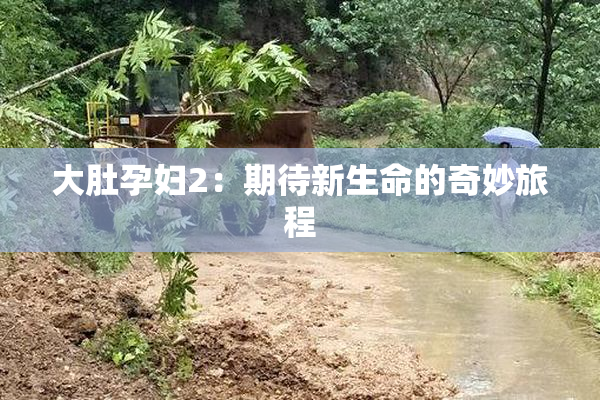 大肚孕妇2：期待新生命的奇妙旅程
