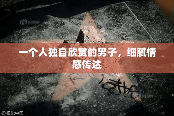 一个人独自欣赏的男子，细腻情感传达