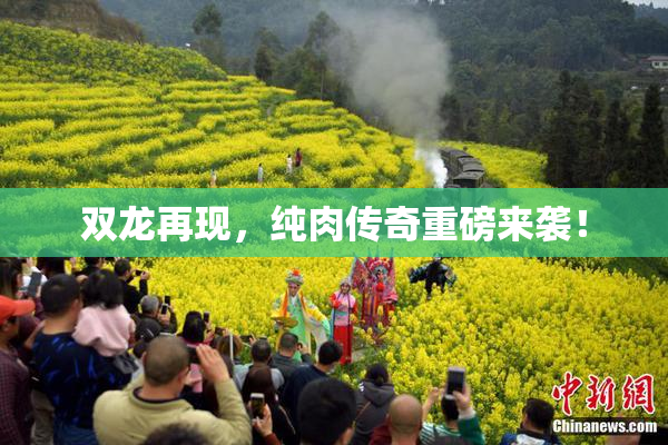 双龙再现，纯肉传奇重磅来袭！