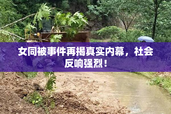 女同被事件再揭真实内幕，社会反响强烈！