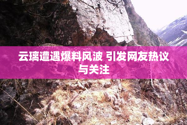 云璃遭遇爆料风波 引发网友热议与关注