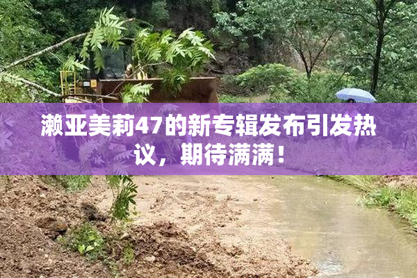濑亚美莉47的新专辑发布引发热议，期待满满！