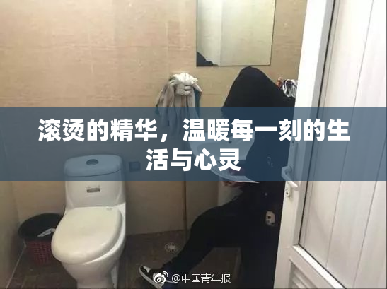 滚烫的精华，温暖每一刻的生活与心灵