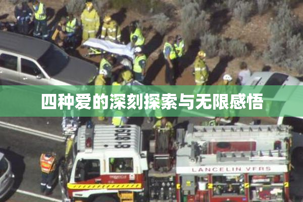 四种爱的深刻探索与无限感悟