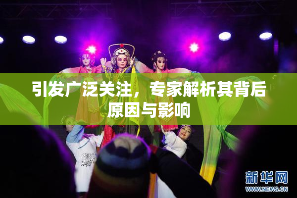 引发广泛关注，专家解析其背后原因与影响