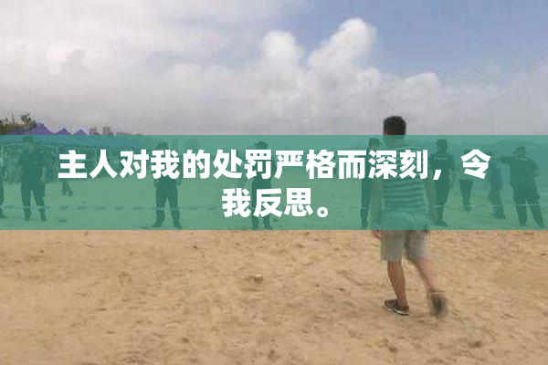 主人对我的处罚严格而深刻，令我反思。