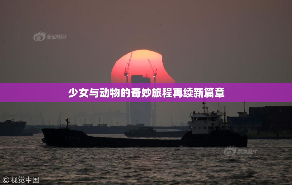 少女与动物的奇妙旅程再续新篇章