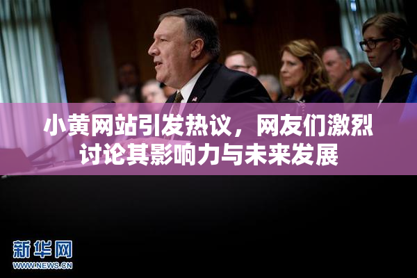 小黄网站引发热议，网友们激烈讨论其影响力与未来发展