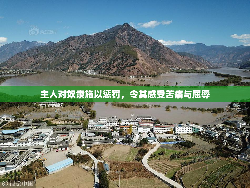 主人对奴隶施以惩罚，令其感受苦痛与屈辱