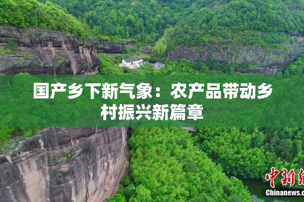 国产乡下新气象：农产品带动乡村振兴新篇章