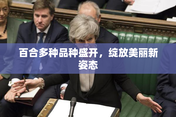 百合多种品种盛开，绽放美丽新姿态