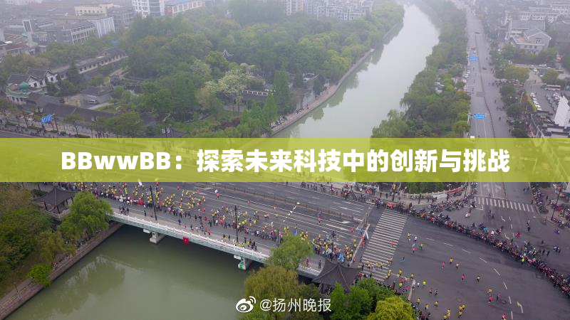 BBwwBB：探索未来科技中的创新与挑战