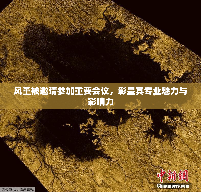 风堇被邀请参加重要会议，彰显其专业魅力与影响力