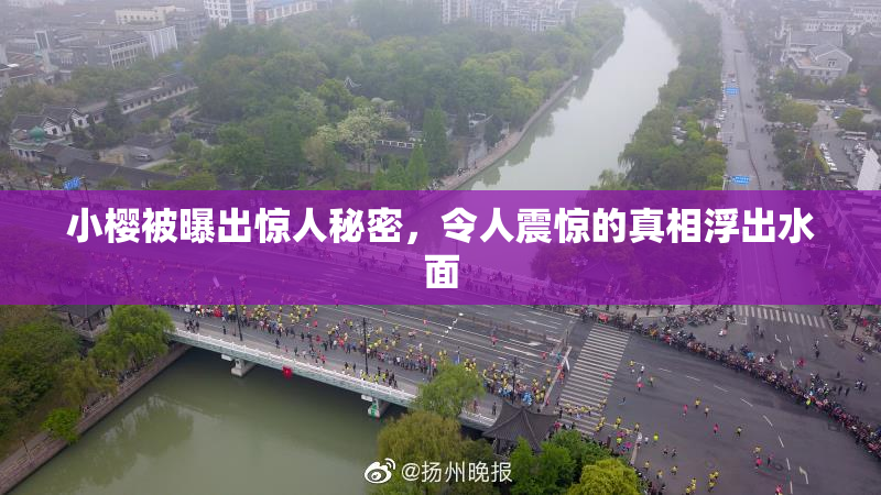 小樱被曝出惊人秘密，令人震惊的真相浮出水面