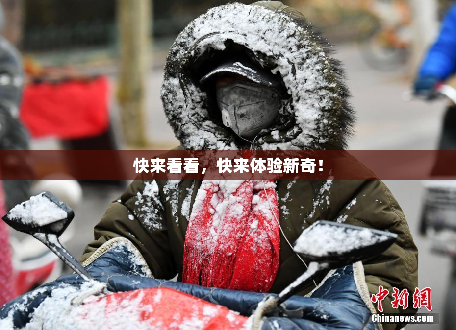 快来看看，快来体验新奇！