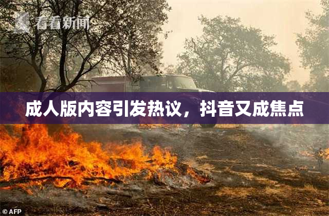 成人版内容引发热议，抖音又成焦点