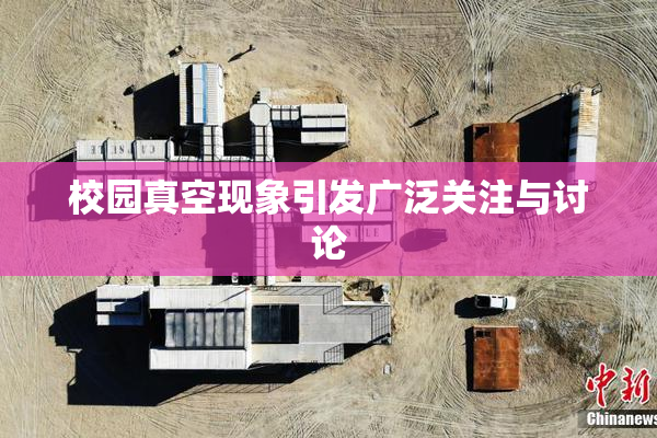 校园真空现象引发广泛关注与讨论