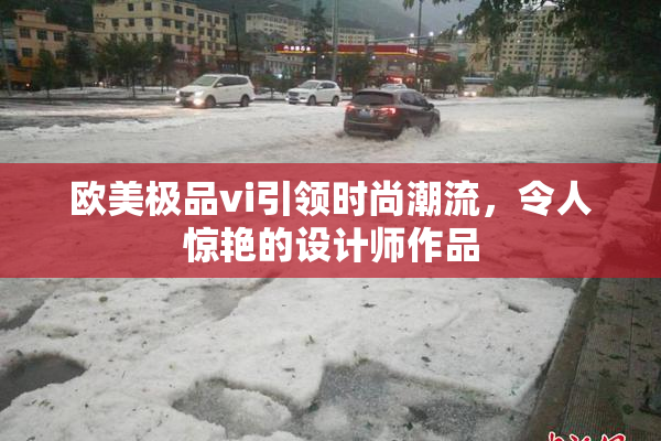 欧美极品vi引领时尚潮流，令人惊艳的设计师作品