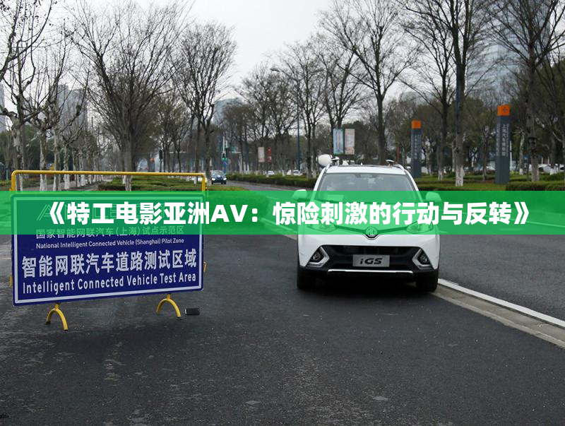 《特工电影亚洲AV：惊险刺激的行动与反转》