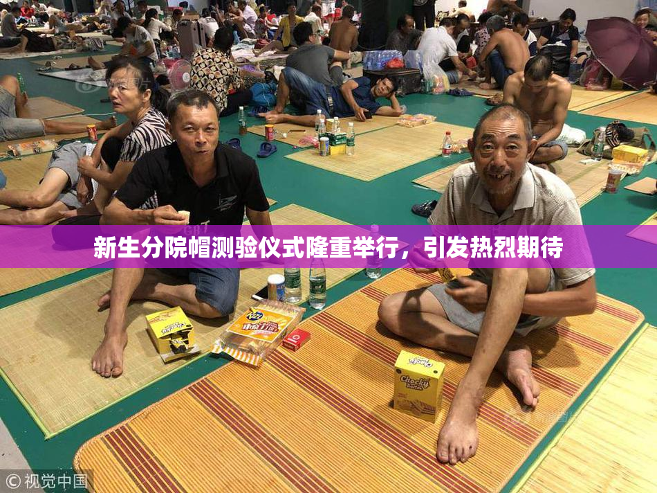 新生分院帽测验仪式隆重举行，引发热烈期待