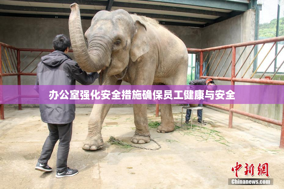 办公室强化安全措施确保员工健康与安全