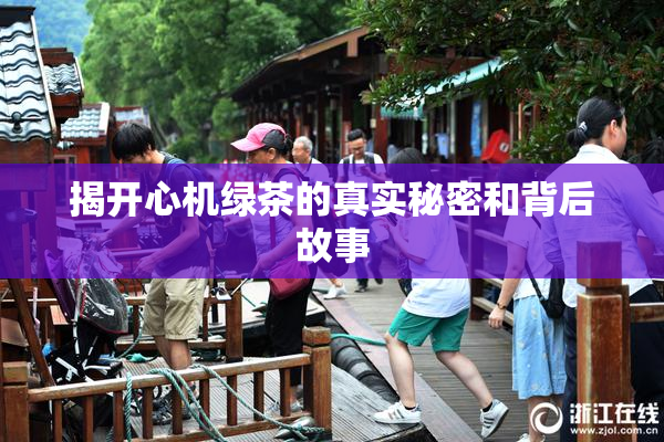 揭开心机绿茶的真实秘密和背后故事