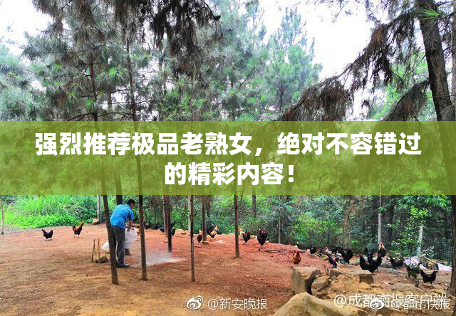 强烈推荐极品老熟女，绝对不容错过的精彩内容！