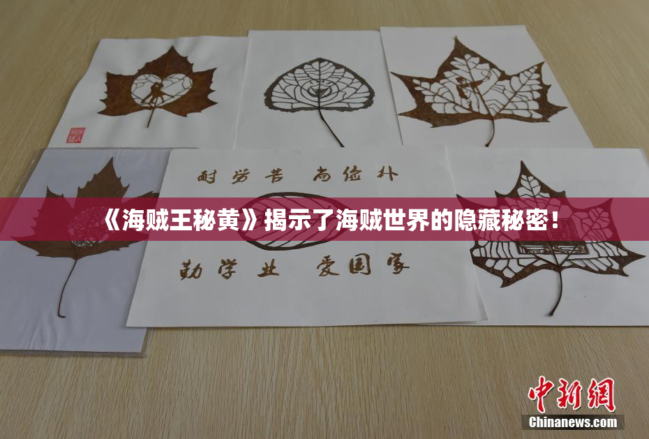 《海贼王秘黄》揭示了海贼世界的隐藏秘密！