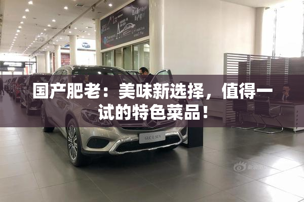 国产肥老：美味新选择，值得一试的特色菜品！