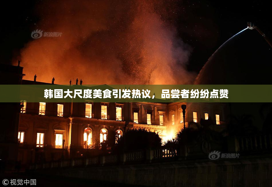 韩国大尺度美食引发热议，品尝者纷纷点赞