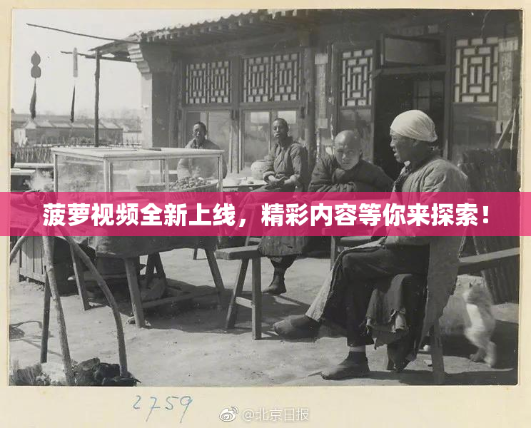 菠萝视频全新上线，精彩内容等你来探索！