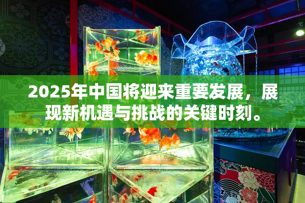 2025年中国将迎来重要发展，展现新机遇与挑战的关键时刻。