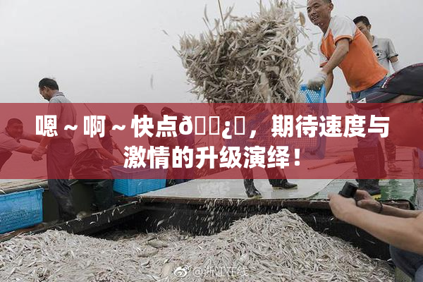 嗯～啊～快点🌿‌，期待速度与激情的升级演绎！